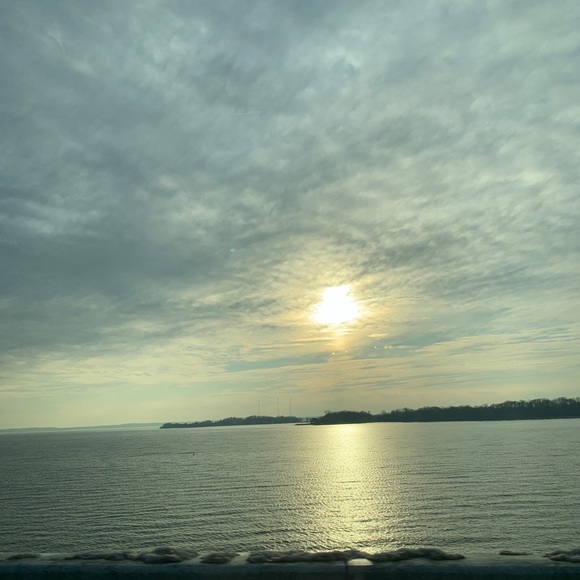 Meet your Posher, Rory - Picture 1 of 1